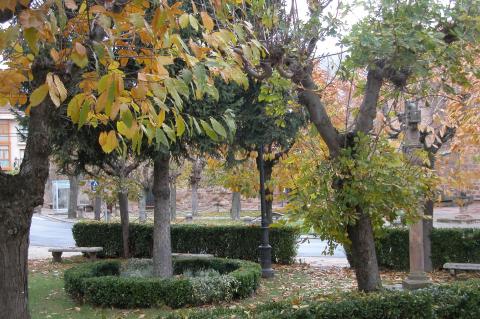 image Parque en otoño
