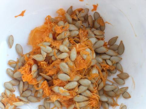 image Pipas de calabaza