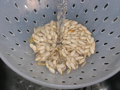 image Pipas de calabaza