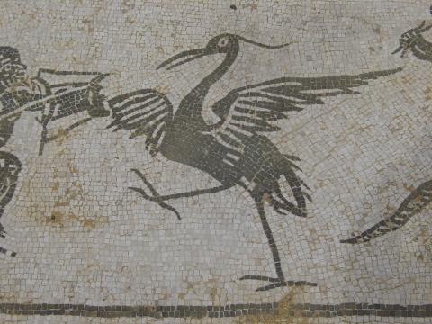 image Mosaico de Neptuno, Ruinas de Itálica, Santiponce, Sevilla