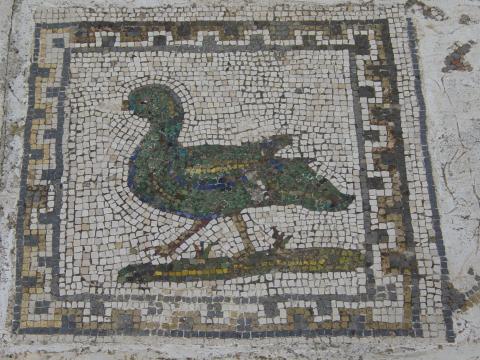 image Mosaico de la Casa de los Pájaros, Ruinas de Itálica, Santiponce, Sevilla