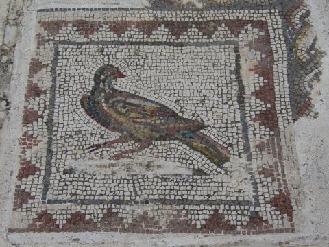 image Mosaico de la Casa de los Pájaros, Ruinas de Itálica, Santiponce, Sevilla