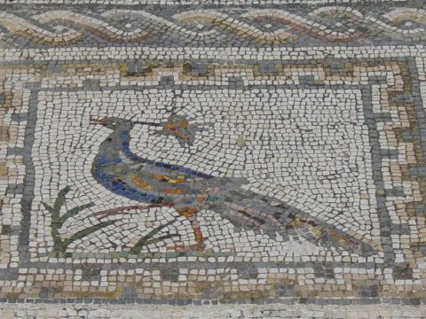 image Mosaico de la Casa de los Pájaros, Ruinas de Itálica, Santiponce, Sevilla