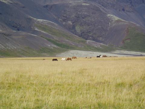 image Paisaje, Islandia