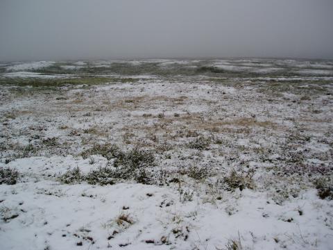 image Paisaje, Islandia