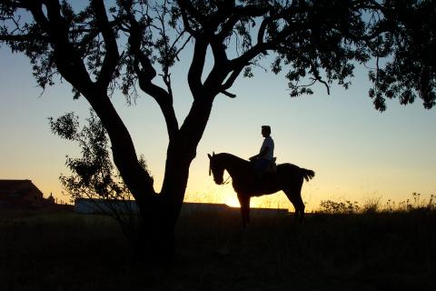 image Ocaso a caballo en Cigales, Valladolid