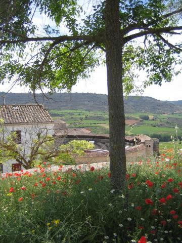 image Brihuega, Guadalajara