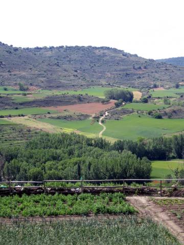 image Campos de Brihuega, Guadalajara