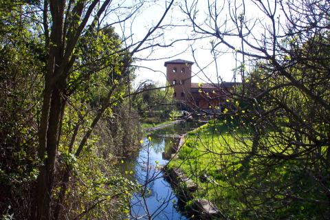 image Canal del río Jarama en Uceda, Guadalajara