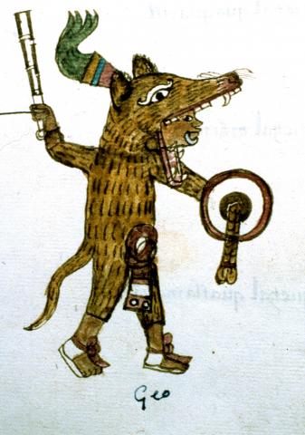 image Guerrero Mexica