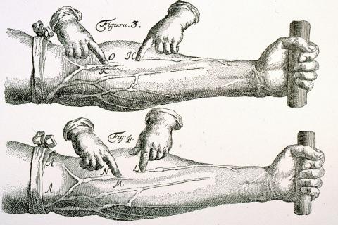 image Lámina sobre la circulación de la sangre, de Harvey