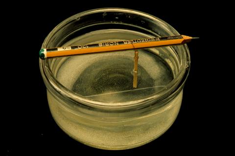 image Cristalización de sal común por evaporación del agua