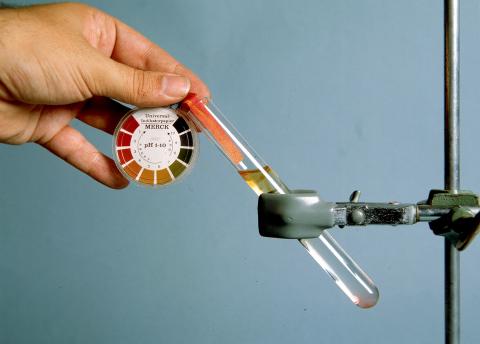 image Papel tornasol