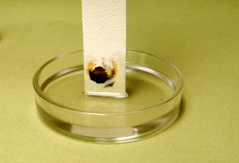 image Cromatografía