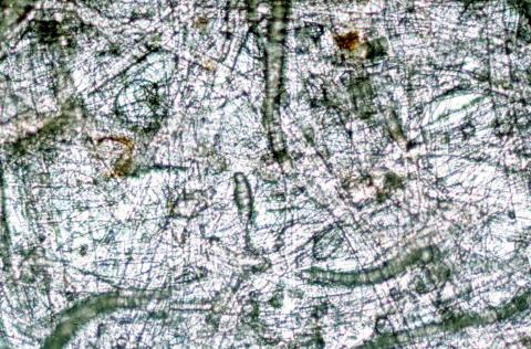 image Fibras de celulosa