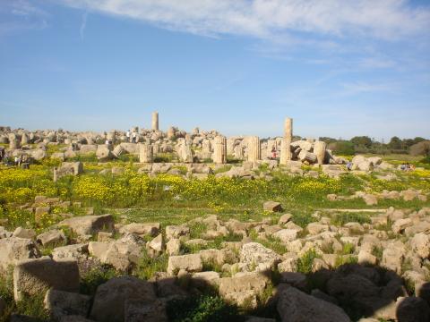 image Selinunte, Sicilia