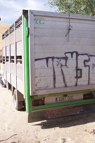 image Camión de transporte de ovejas