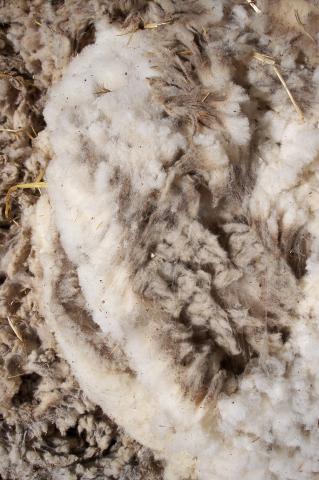 image Detalle lana