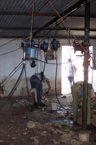 image Esquilando, panorámica