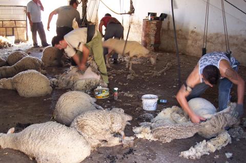 image Esquilando, panorámica