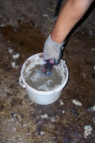 image Esquilando, detalle