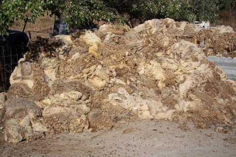 image Montón de lana