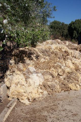 image Montón de lana