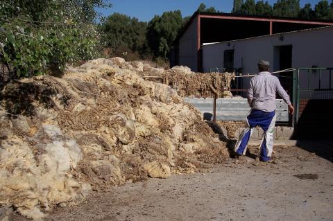 image Montón de lana