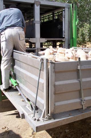 image Ovejas en ascensor