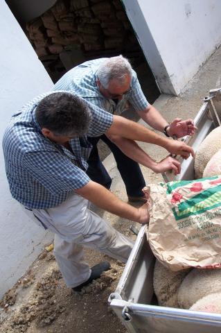 image Ovejas en ascensor
