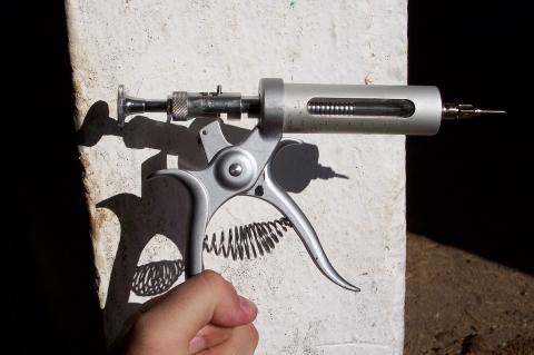 image Inyección para ovejas