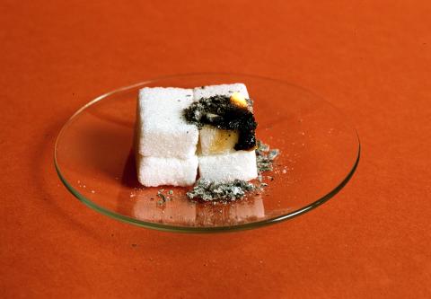 image Ceniza como catalizador