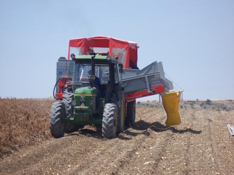 image Máquina de recolectar patatas