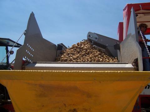 image Recolecta de patatas