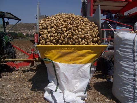 image Recolecta de patatas