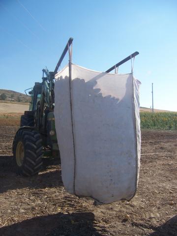 image Recolecta de patatas