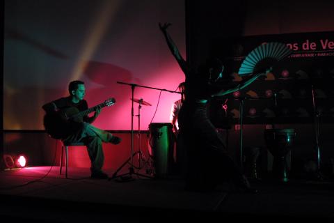 image Guitarrista y bailaora de flamenco