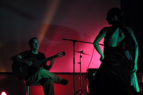 image Guitarrista y bailaora de flamenco
