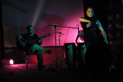 image Guitarrista y bailaora de flamenco