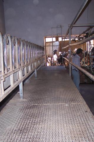 image Cebadero-ordeñadora