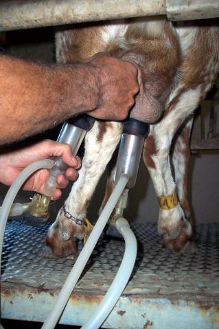 image Colocando succionador