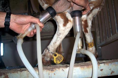 image Colocando succionador