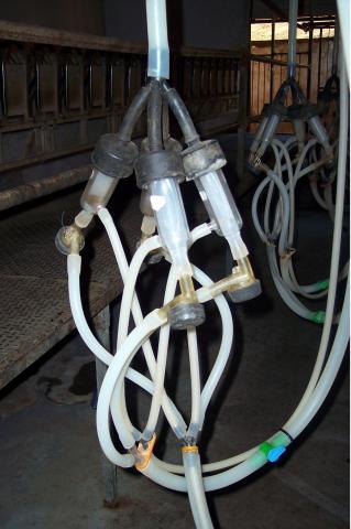 image Detalle ordeñadora