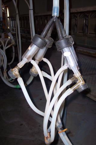 image Detalle ordeñadora