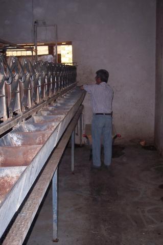 image Preparando cebadero