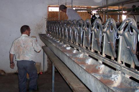 image Preparando cebadero