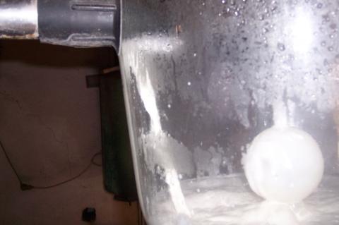 image Receptora de leche