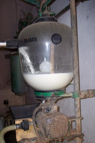 image Receptora de leche