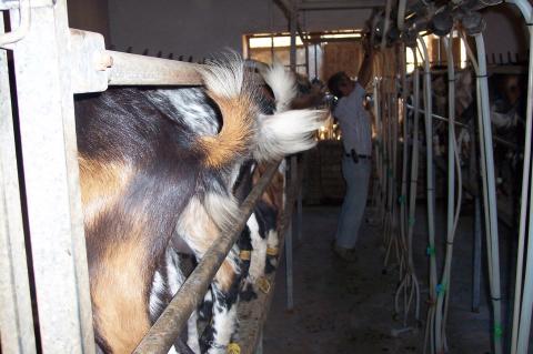 image Ajustando tubo de salida