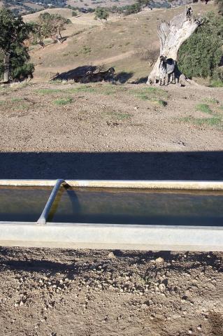 image Detalle bebedero